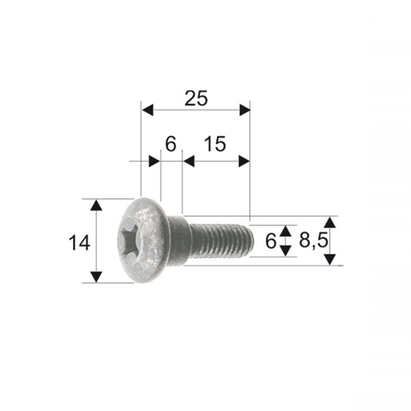 Tornillo de carrocería Piaggio/Gilera 298086/575249