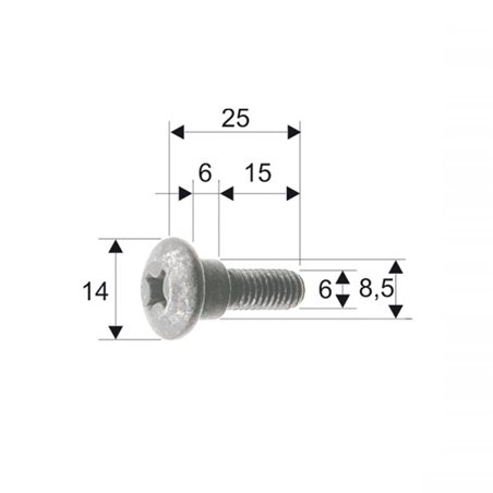 Tornillo de carrocería Piaggio/Gilera 298086/575249