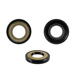 Retenes de aceite cigüeñal lado embrague Piaggio Vespa 50-125cc Primavera 289305