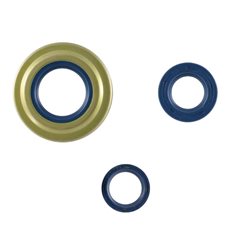 Oil seals motor kit Piaggio Vespa px arcobaleno
