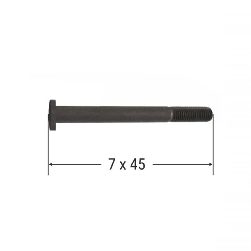 Tornillo de cárter Piaggio Ape 50cc 015647
