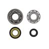 Kit de revisión de cigüeñal Piaggio Vespa Et3/Primavera 125cc