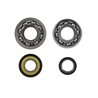 Kit de revisión de cigüeñal Piaggio Ape 50cc