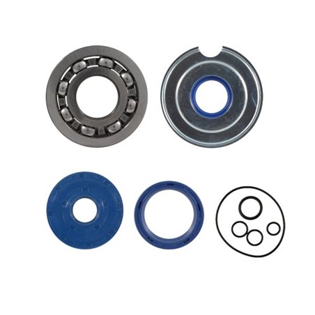 Kit de revisión de cigüeñal Piaggio Vespa Sprint