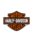Intermitentes originales Davidson homologados | LED y OEM