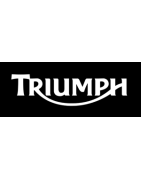 Intermitentes originales Triumph homologados | LED y OEM