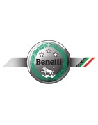EMBRAGUE POLINI 3G BENELLI