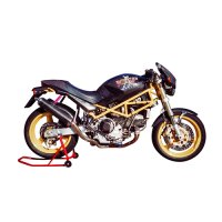 PIEZAS DE CARBONO ILBERGEN CARBON MOTO DUCATI - MONSTER 900-900IE DISTRIBUIDOR TAPAS CARBONO ILBERGEN CARBON DUCATI