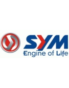 EMBRAGUE POLINI EVOLUTION SYM
