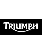 DISCOS DELANTEROS BREMBO TRIUMPH