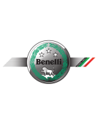 FILTRO AIRE POLINI BENELLI