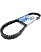 Correas Variador Polini – Kevlar, Evolution y Reforzadas