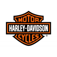 HARLEY DAVIDSON FILTROS BMC