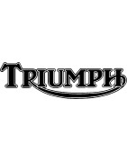 Topes Protecciones Anticaida para TRIUMPH. Todos los Accesorios y Topes Anticaidas para TRIUMPH en tu Web