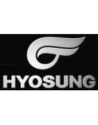 Pastillas de Freno Hyosung Scooter | Compatibles SBS en CarenadosGP