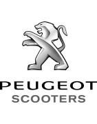 Variador Polini Hi Speed Peugeot | Mejora aceleración y respuesta en tu scooter