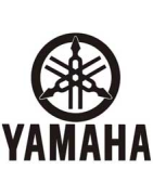 Variador Polini Hi Speed Yamaha | Mejora aceleración y rendimiento en tu scooter