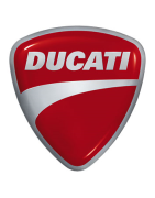 Bomba Gasolina Ducati | Repuestos Moto Monster, Panigale y Más