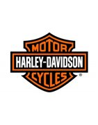 Baterías Energysafe para Harley Davidson – AGM 12?V sin mantenimiento