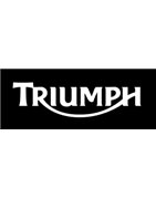 Baterías Energysafe para Triumph – AGM 12?V sin mantenimiento