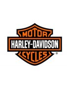 Pastillas Freno Delanteras Harley Davidson