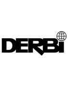 VOLANTE MAGNÉTICO DERBI